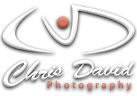 Chris David Photography | Shimmerbaby Mermaid Shoot